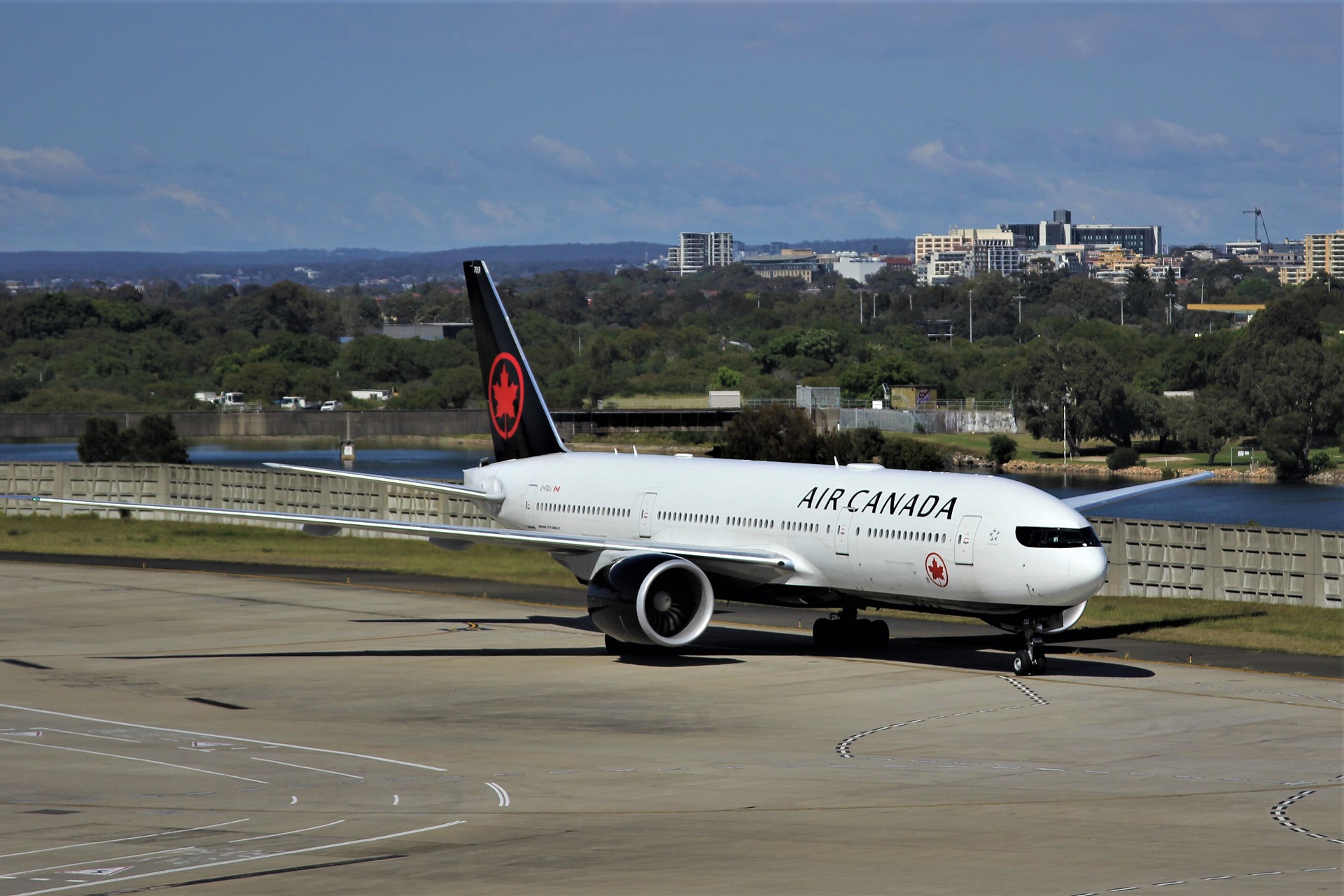 airlines-that-allow-pets-in-cabin-travelstuck